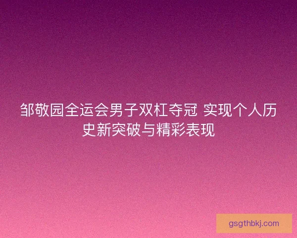 邹敬园全运会男子双杠夺冠 实现个人历史新突破与精彩表现