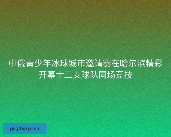 中俄青少年冰球城市邀请赛在哈尔滨精彩开幕十二支球队同场竞技