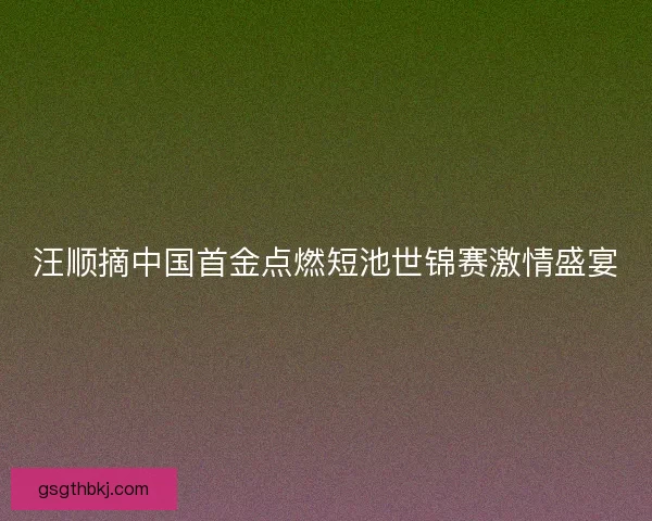 汪顺摘中国首金点燃短池世锦赛激情盛宴