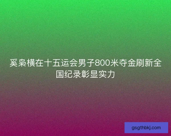 奚枭横在十五运会男子800米夺金刷新全国纪录彰显实力