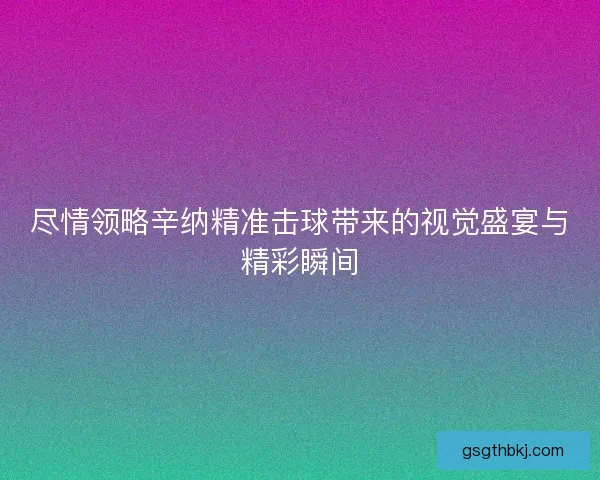 尽情领略辛纳精准击球带来的视觉盛宴与精彩瞬间