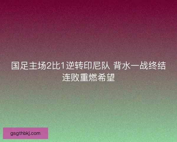 国足主场2比1逆转印尼队 背水一战终结连败重燃希望