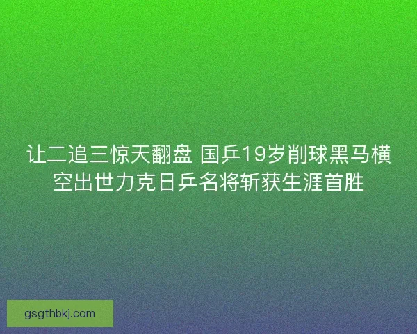 让二追三惊天翻盘 国乒19岁削球黑马横空出世力克日乒名将斩获生涯首胜 让二追三惊天翻盘 国乒19岁削球黑马横空出世力克日乒名将斩获生涯首胜
